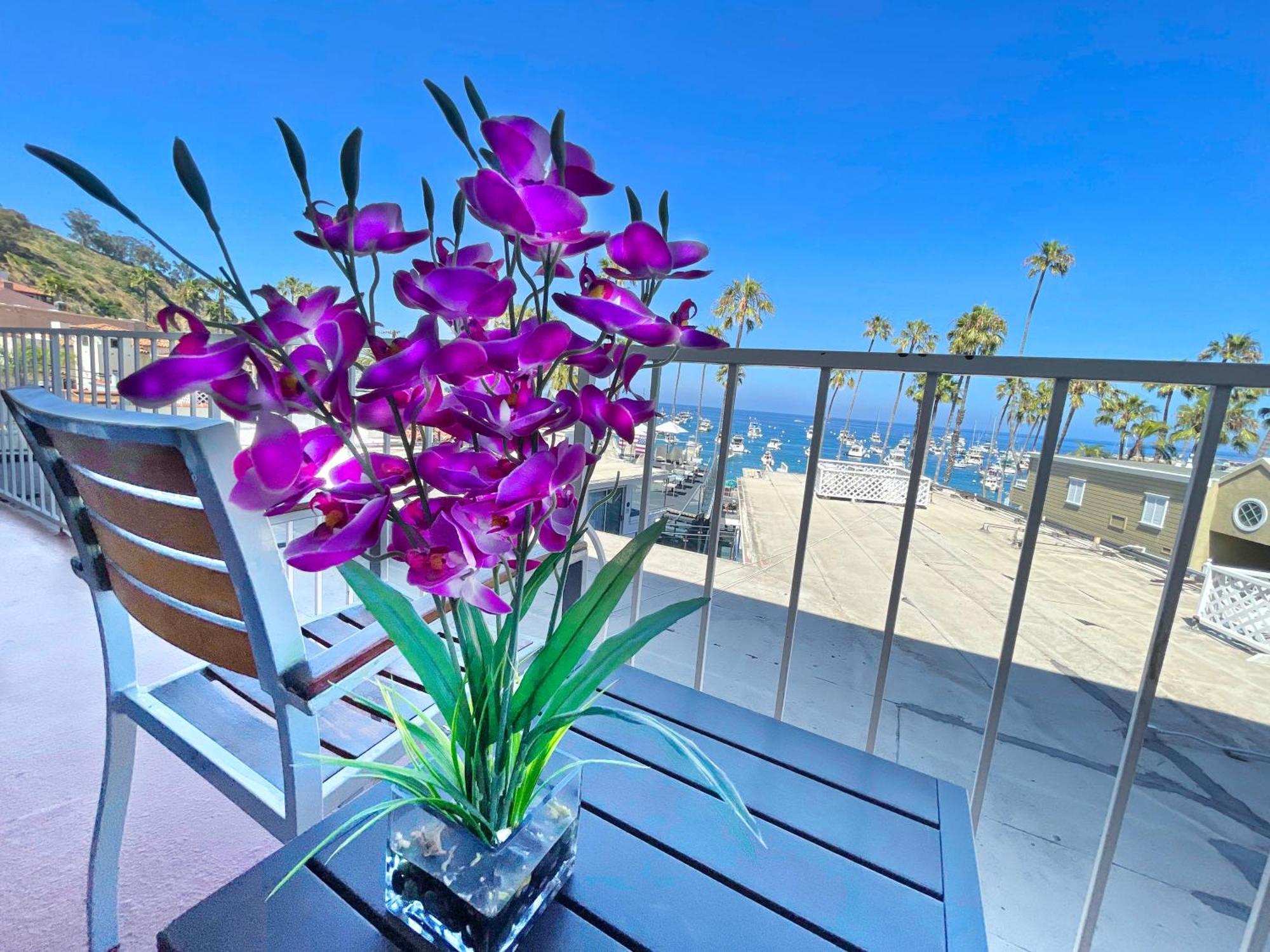 Catalina Courtyard Suites Avalon Buitenkant foto